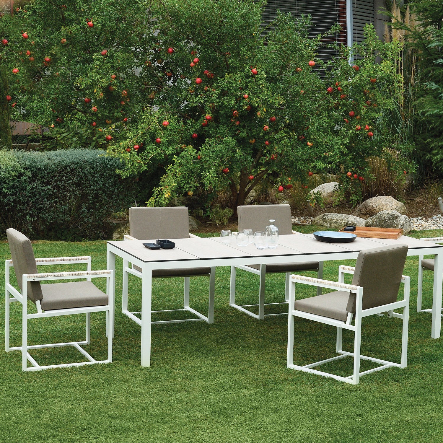 Daytona Dining Armchair